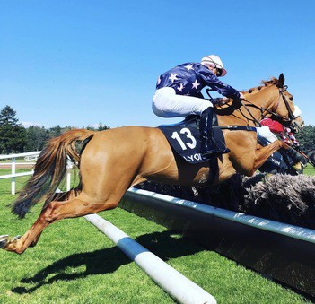assistance-medicale-course-hippique Saut d'obstacle dans hippodrme