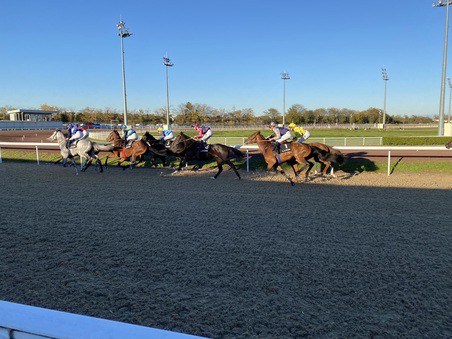 assistance-medicale-course-hippique Course hippique nécessitant une assistance médicale événementielle